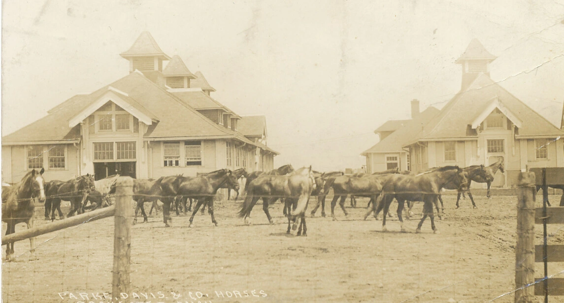 Parke-Davis Farm. From the Archives of the Rochester Hills Museum at Van Hoosen Farm