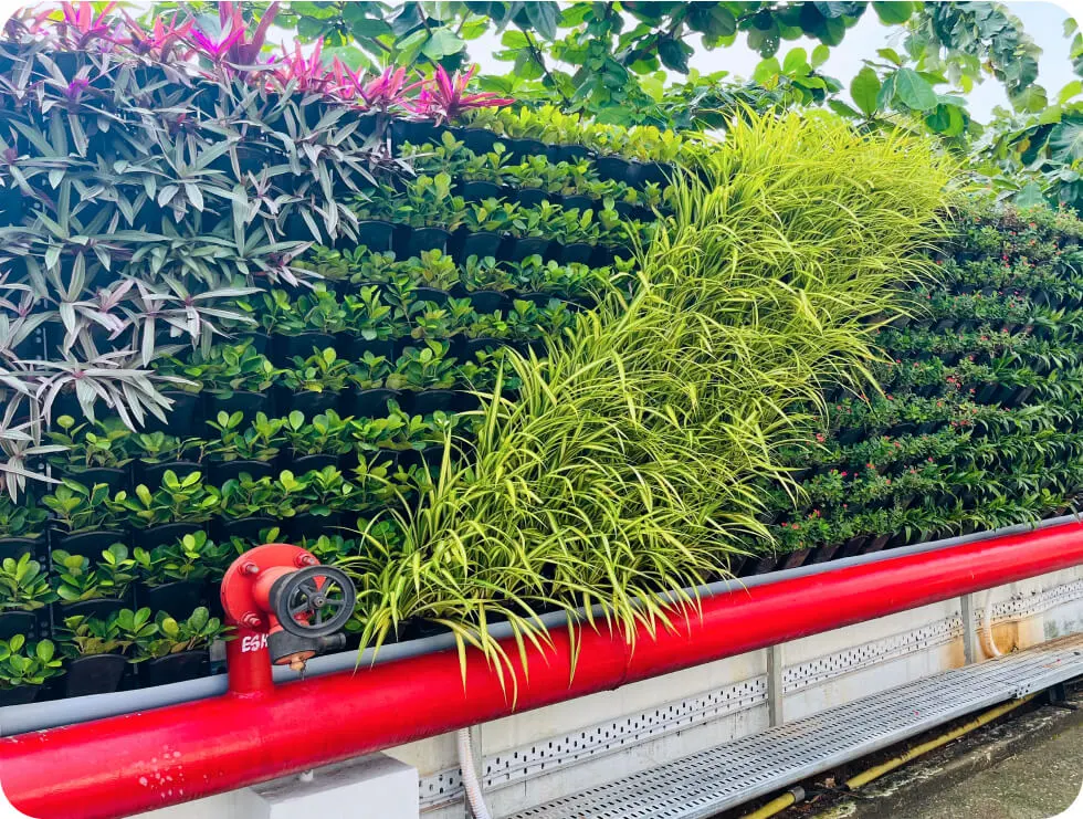 A wall garden